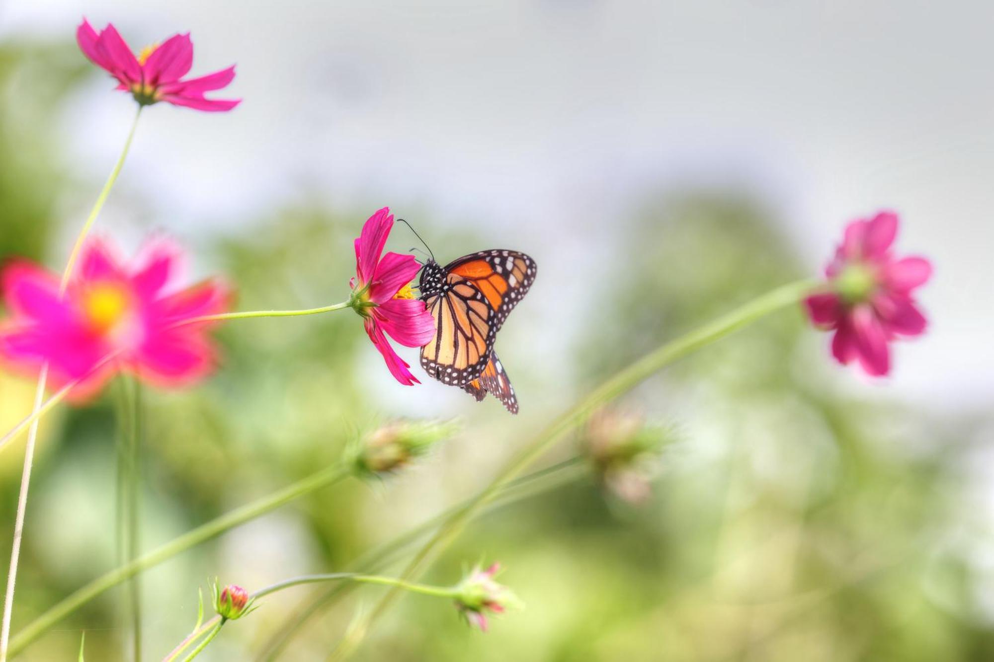 Hadco Experiences At Asa Wright Nature Centre Blanchisseuse Ngoại thất bức ảnh