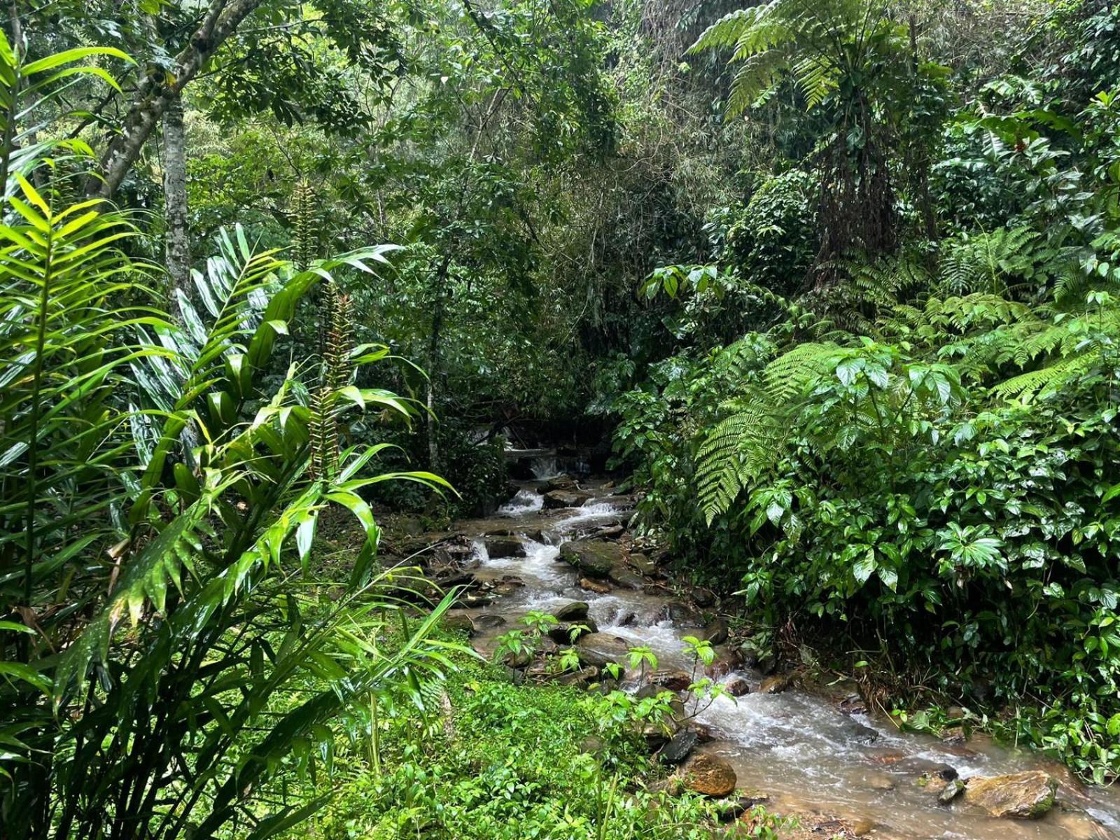 Hadco Experiences At Asa Wright Nature Centre Blanchisseuse Ngoại thất bức ảnh