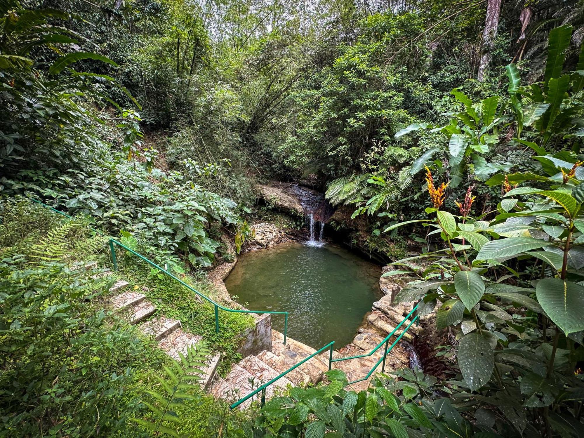 Hadco Experiences At Asa Wright Nature Centre Blanchisseuse Ngoại thất bức ảnh